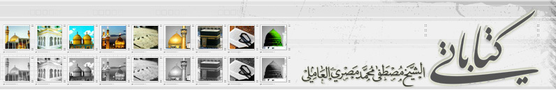 الموقع الرسمي للشيخ مصطفى مصري العاملي